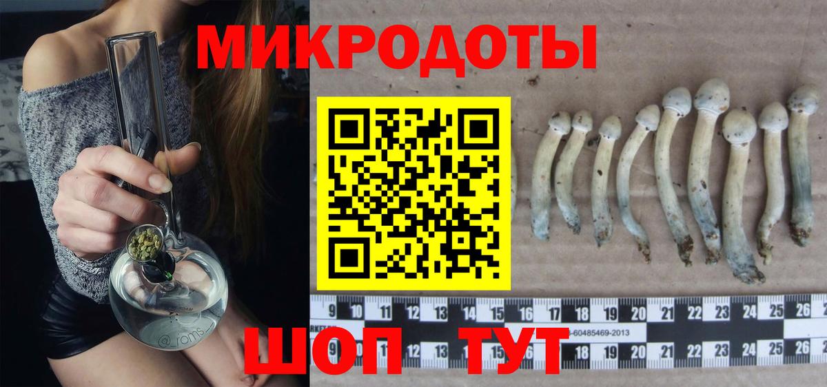 Галлюциногенные грибы мицелий Мурино