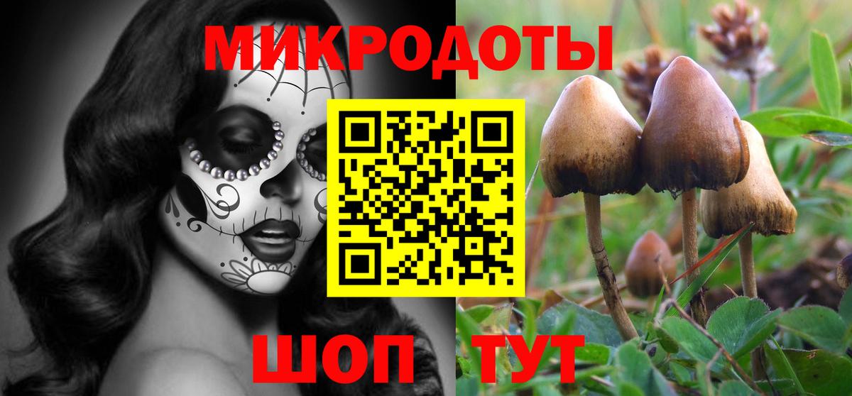 Мурино  Псилоцибиновые грибы Psilocybe  Вход с VPN 